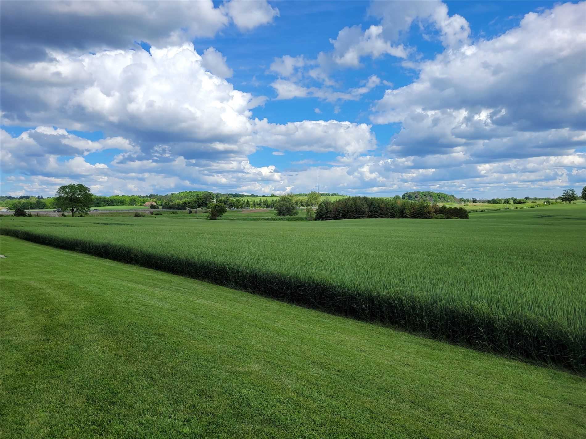 Listing N5457572 - Large Photo # 26
