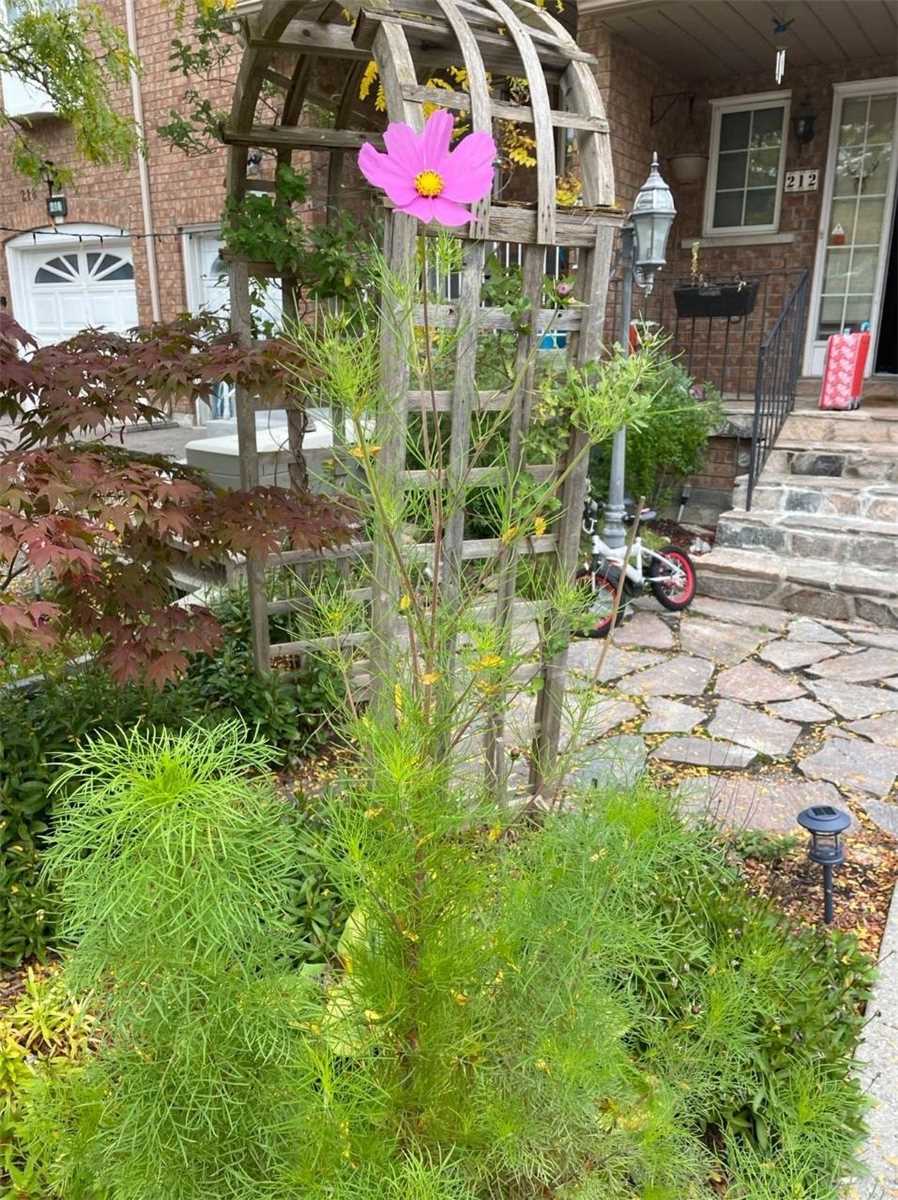 212 Kimono Cres