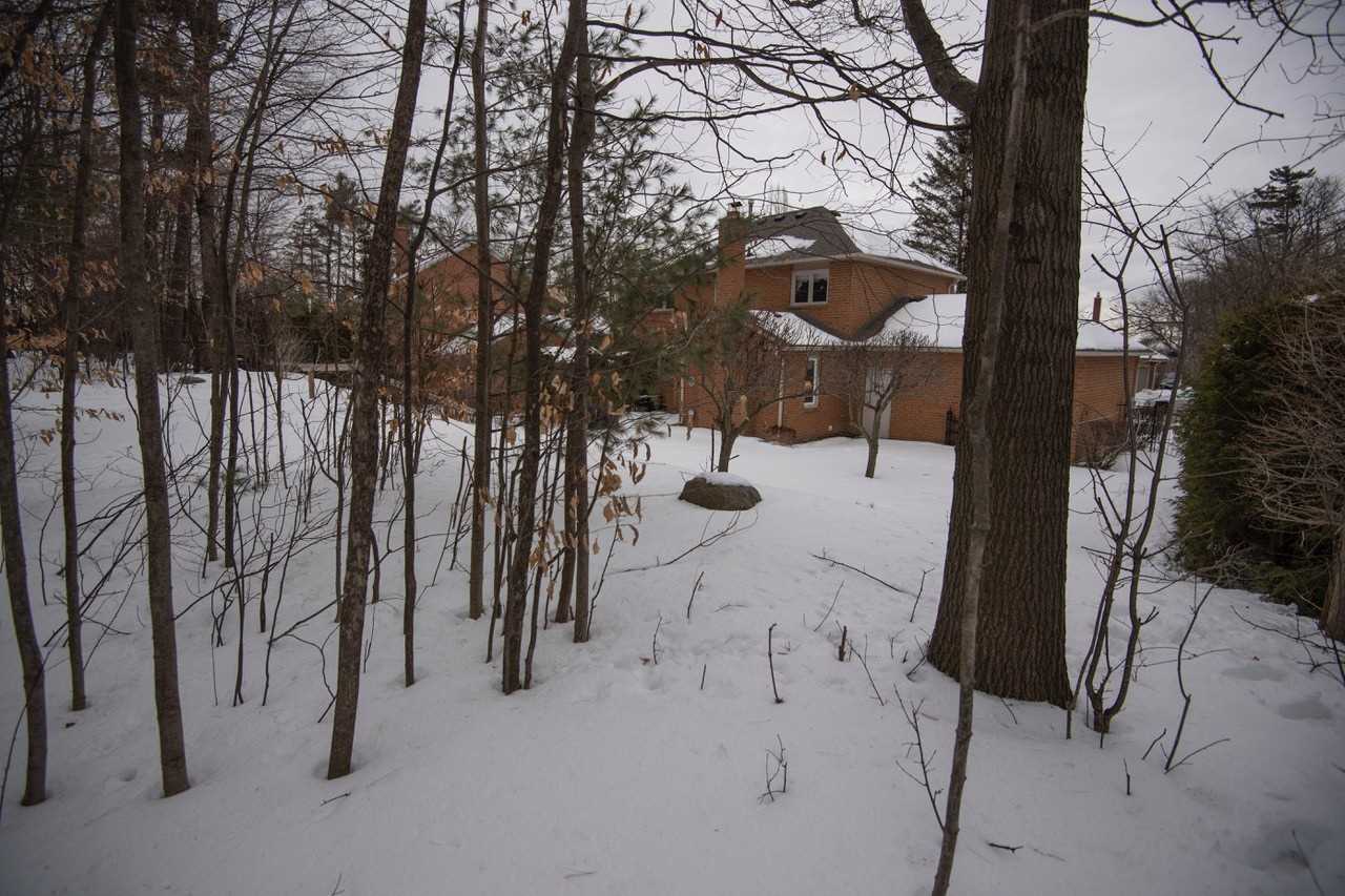 15 Falling Leaf Crt