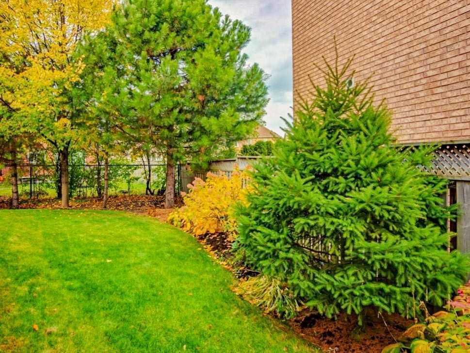 40 Norbury Dr