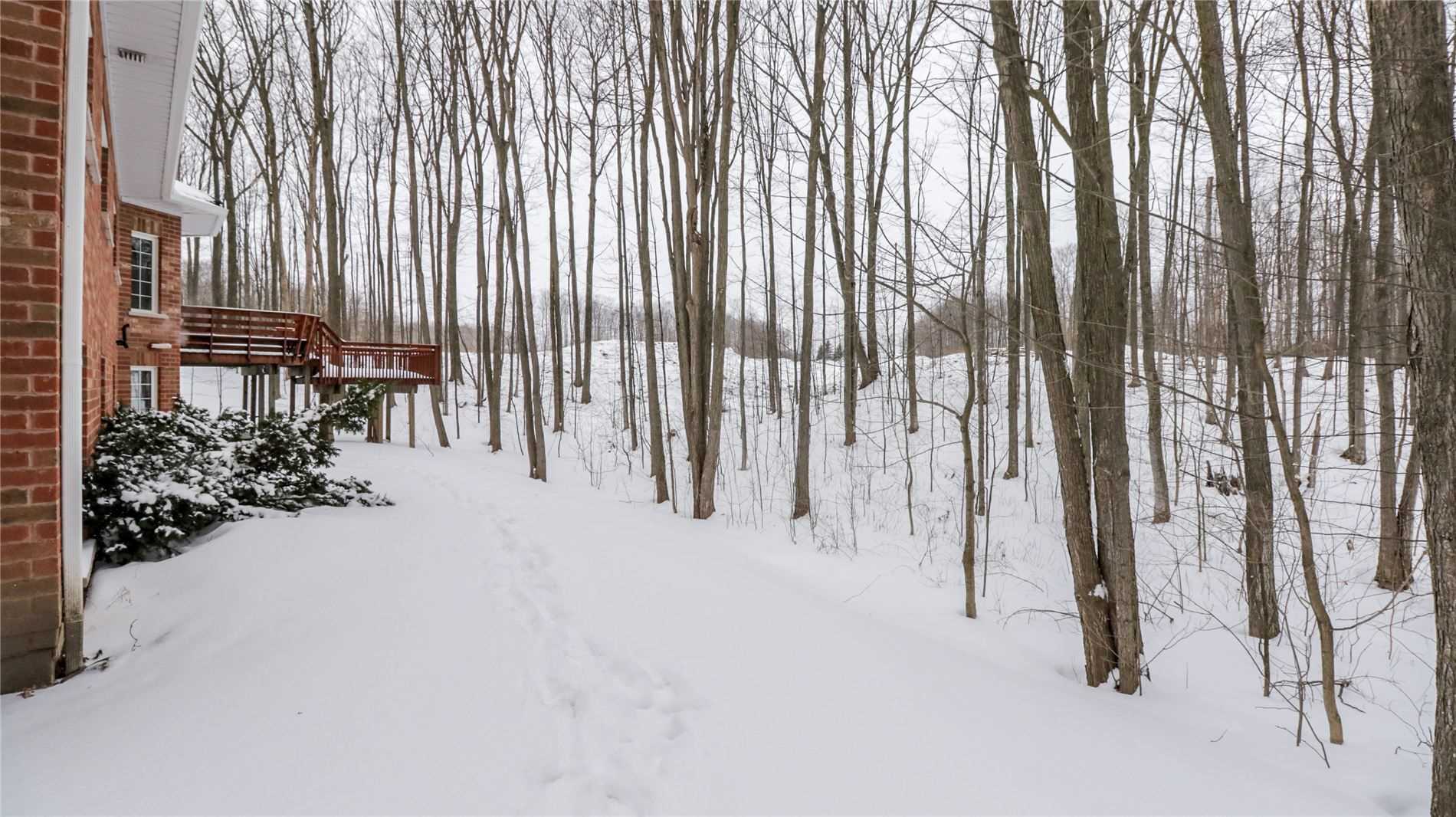 1976 Forest Valley Dr