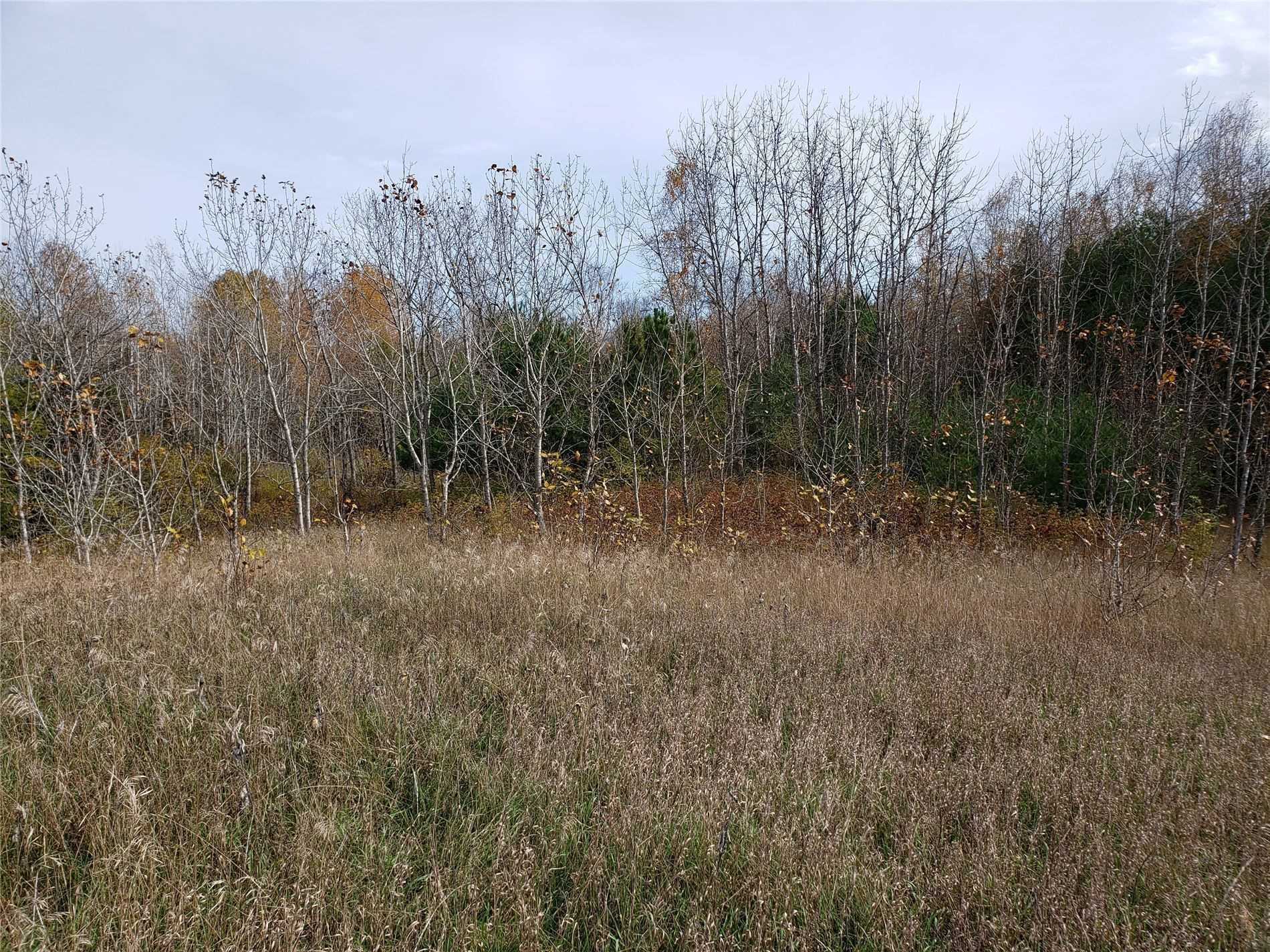 Listing N5552225 - Large Photo # 5