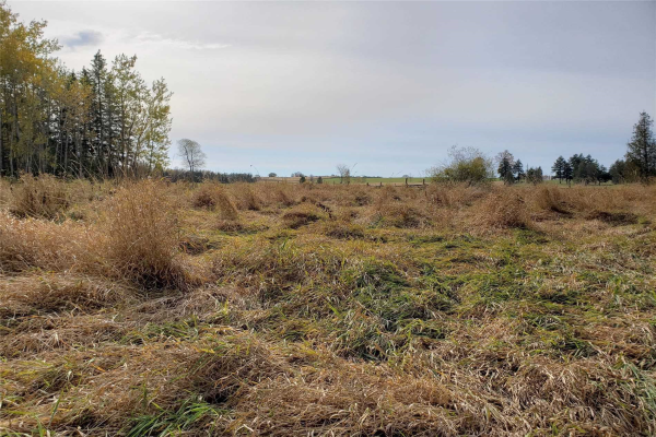 4205 Boag Rd, East Gwillimbury