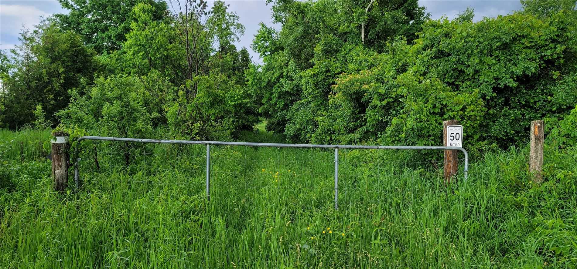 Listing N5552225 - Large Photo # 9