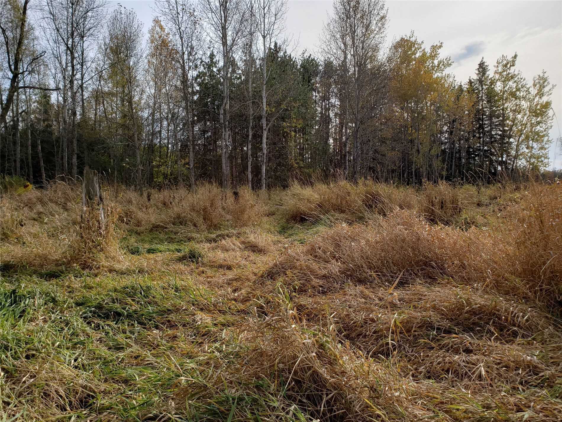 Listing N5552225 - Large Photo # 6
