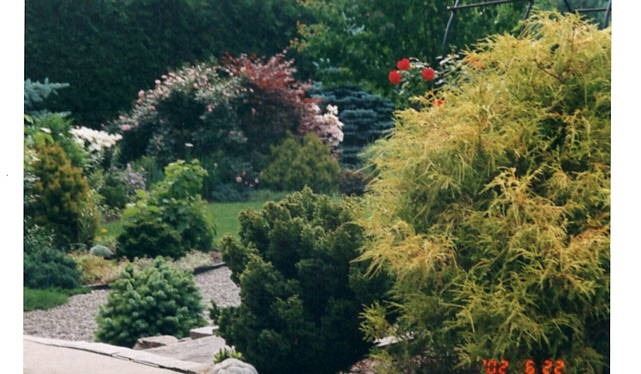45 Thornheights Rd