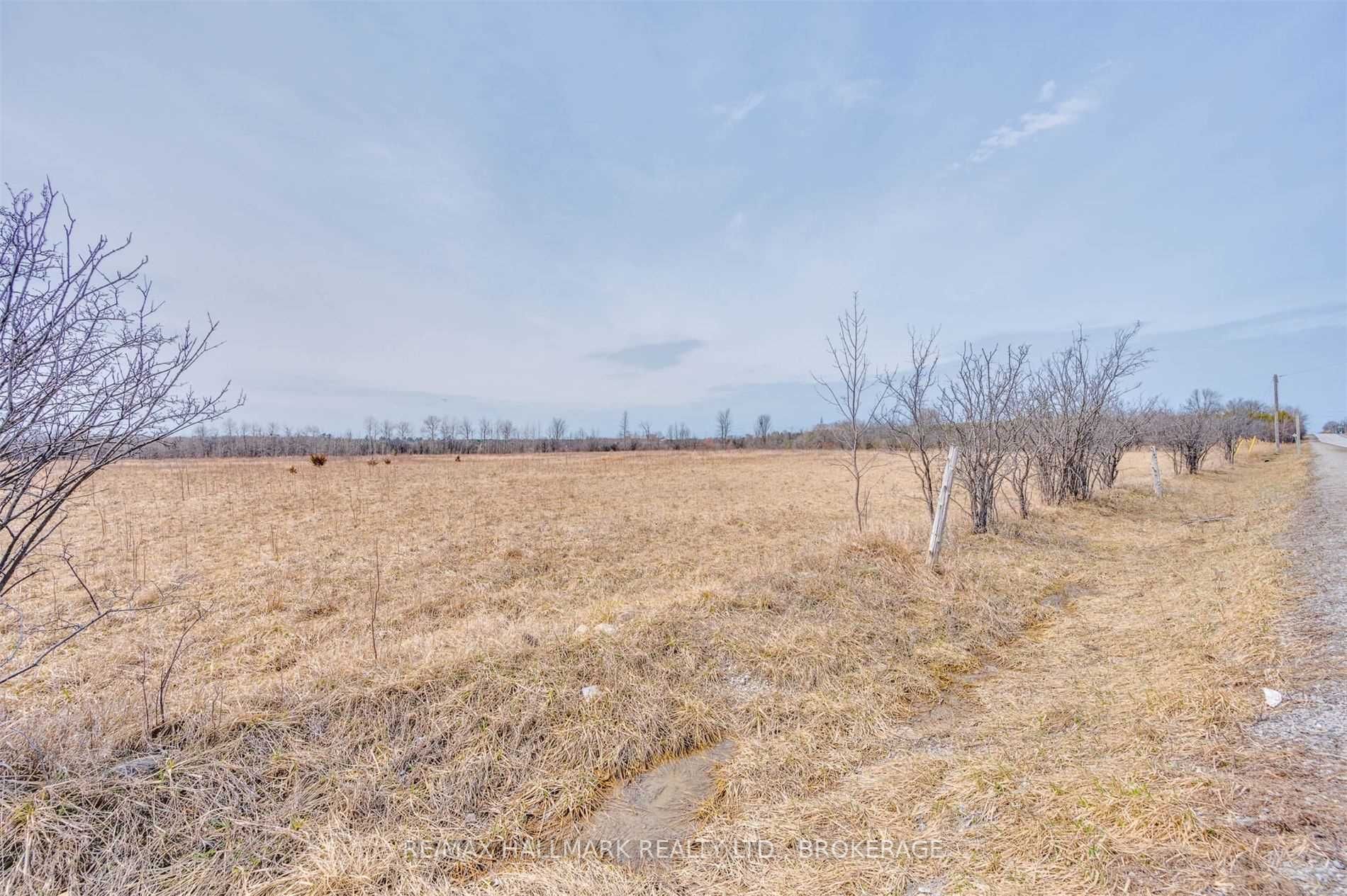 Listing N5582335 - Large Photo # 13
