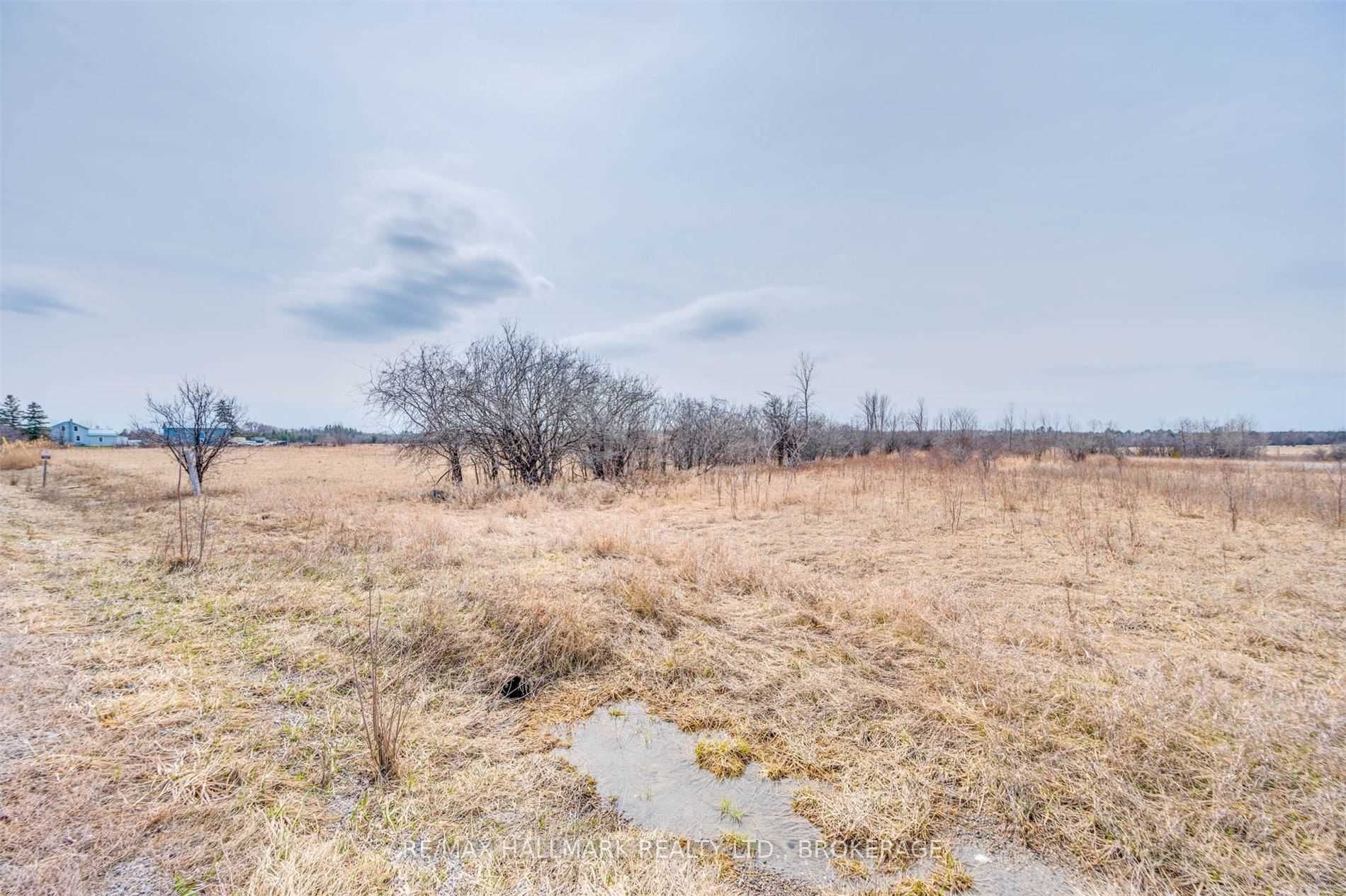 Listing N5582374 - Large Photo # 11