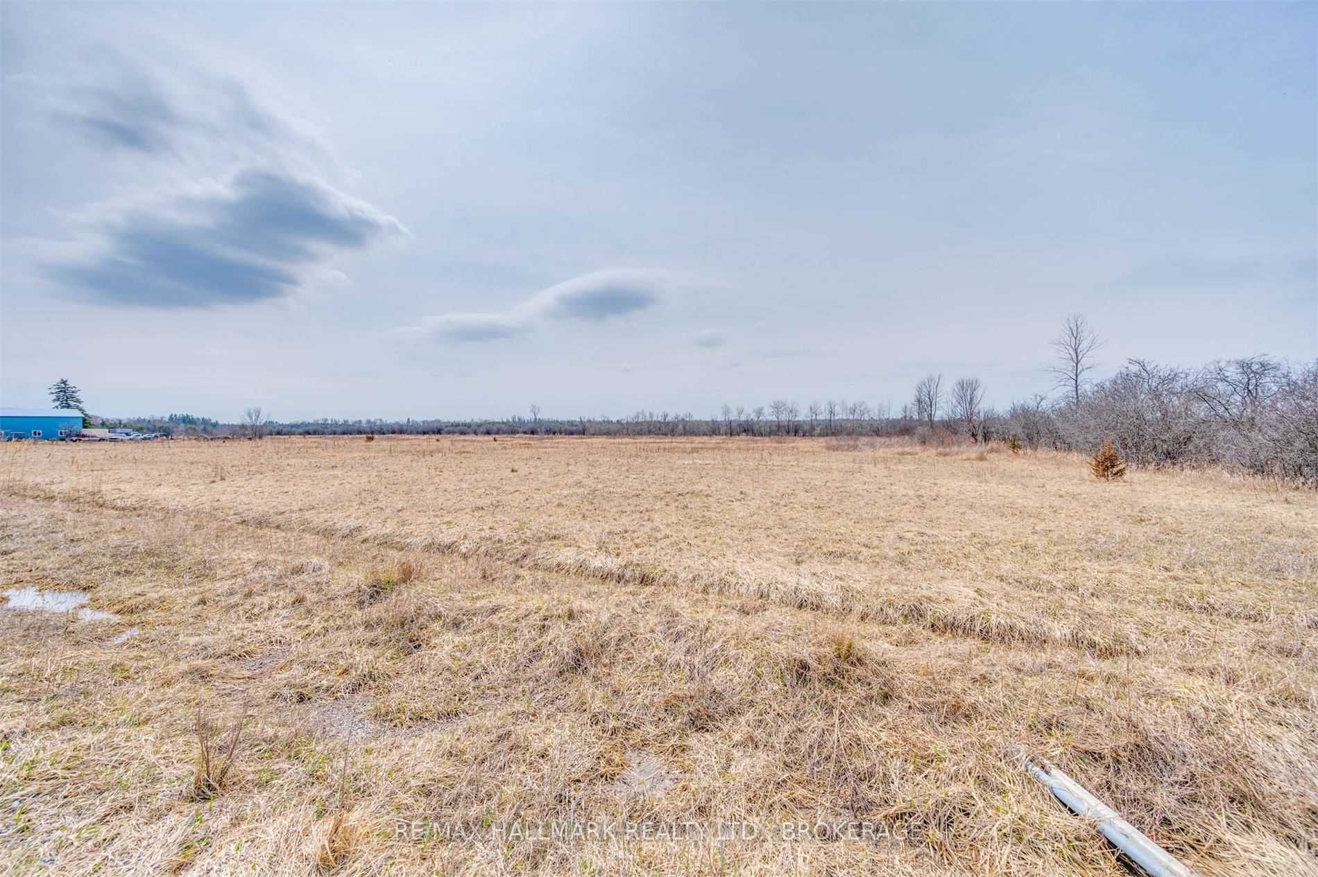 Listing N5582374 - Large Photo # 12