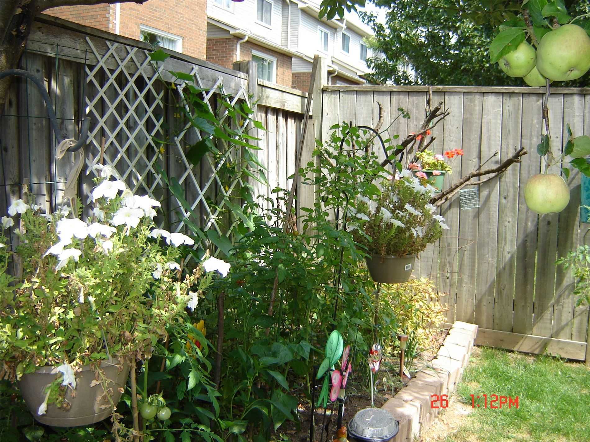 73 Widdifield Ave