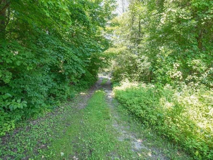 Listing N5622952 - Large Photo # 11