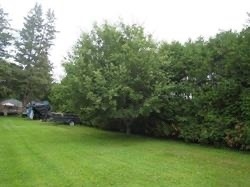 Listing N5637164 - Large Photo # 3