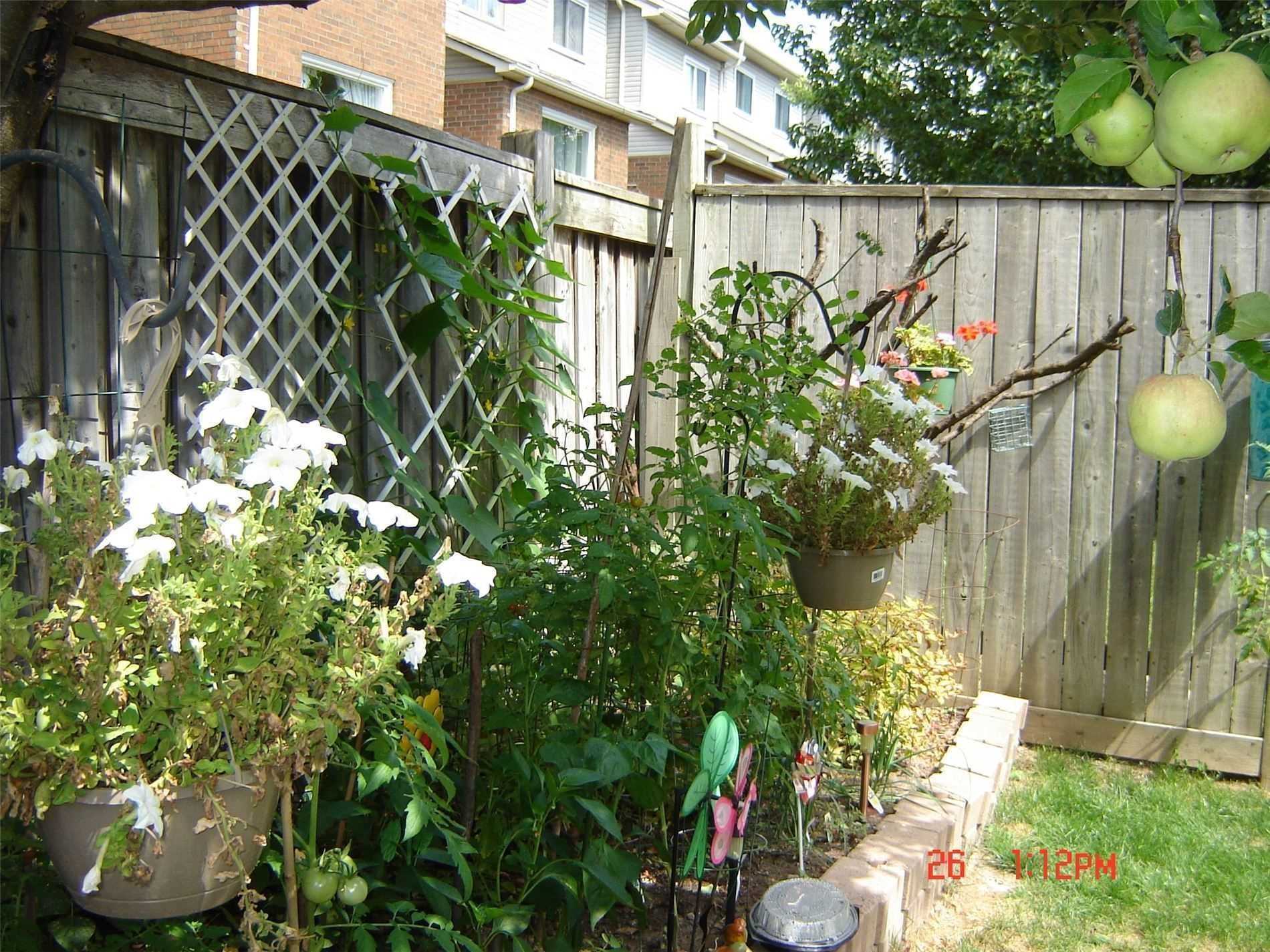 73 Widdifield Ave