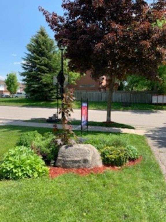 73 Widdifield Ave