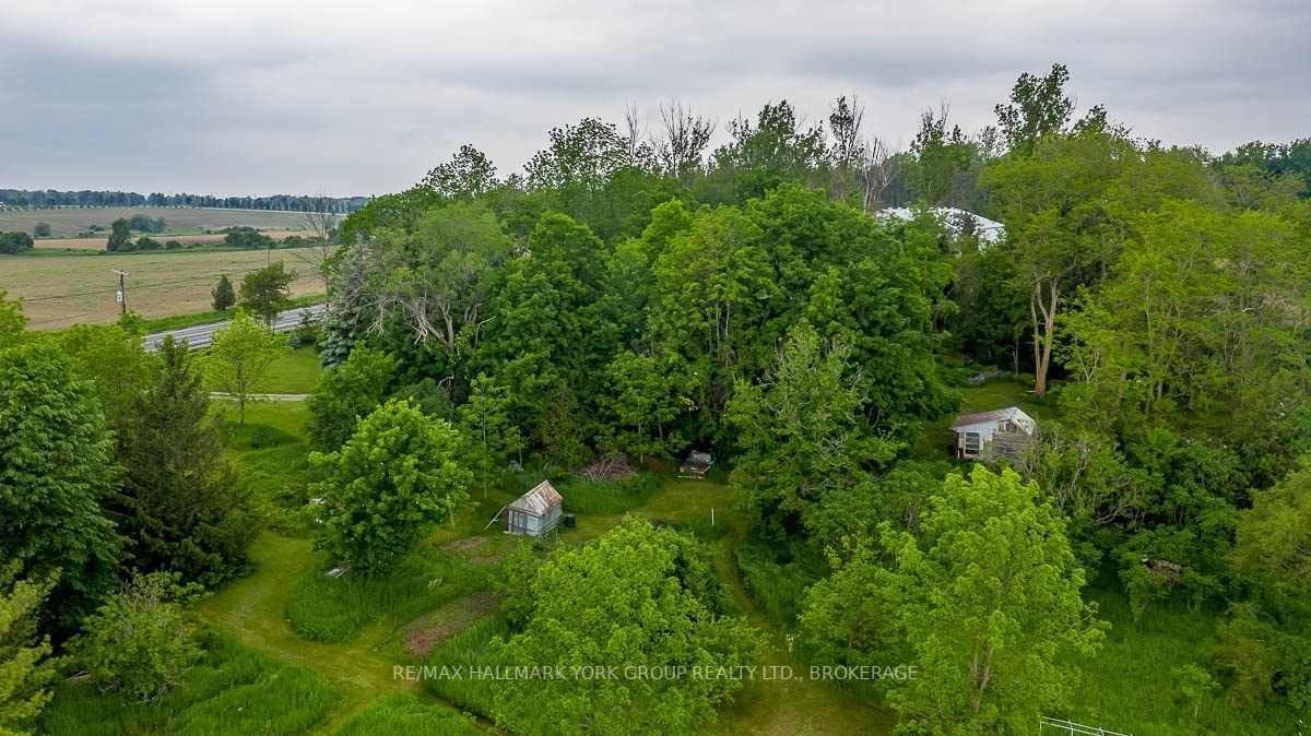 Listing N5651989 - Large Photo # 12