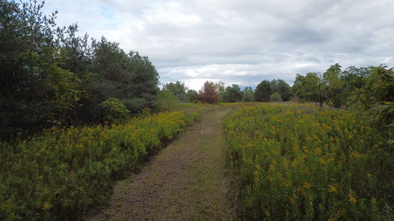 Listing N5676035 - Large Photo # 5