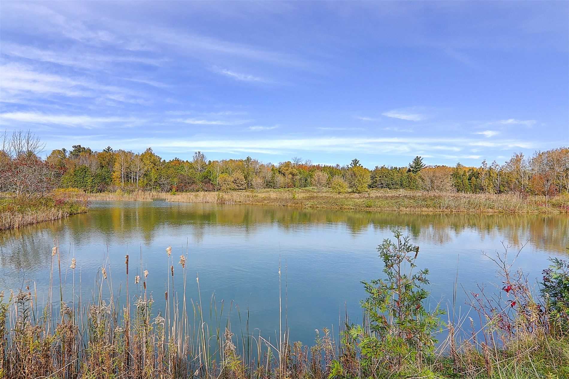 Listing N5676751 - Large Photo # 35