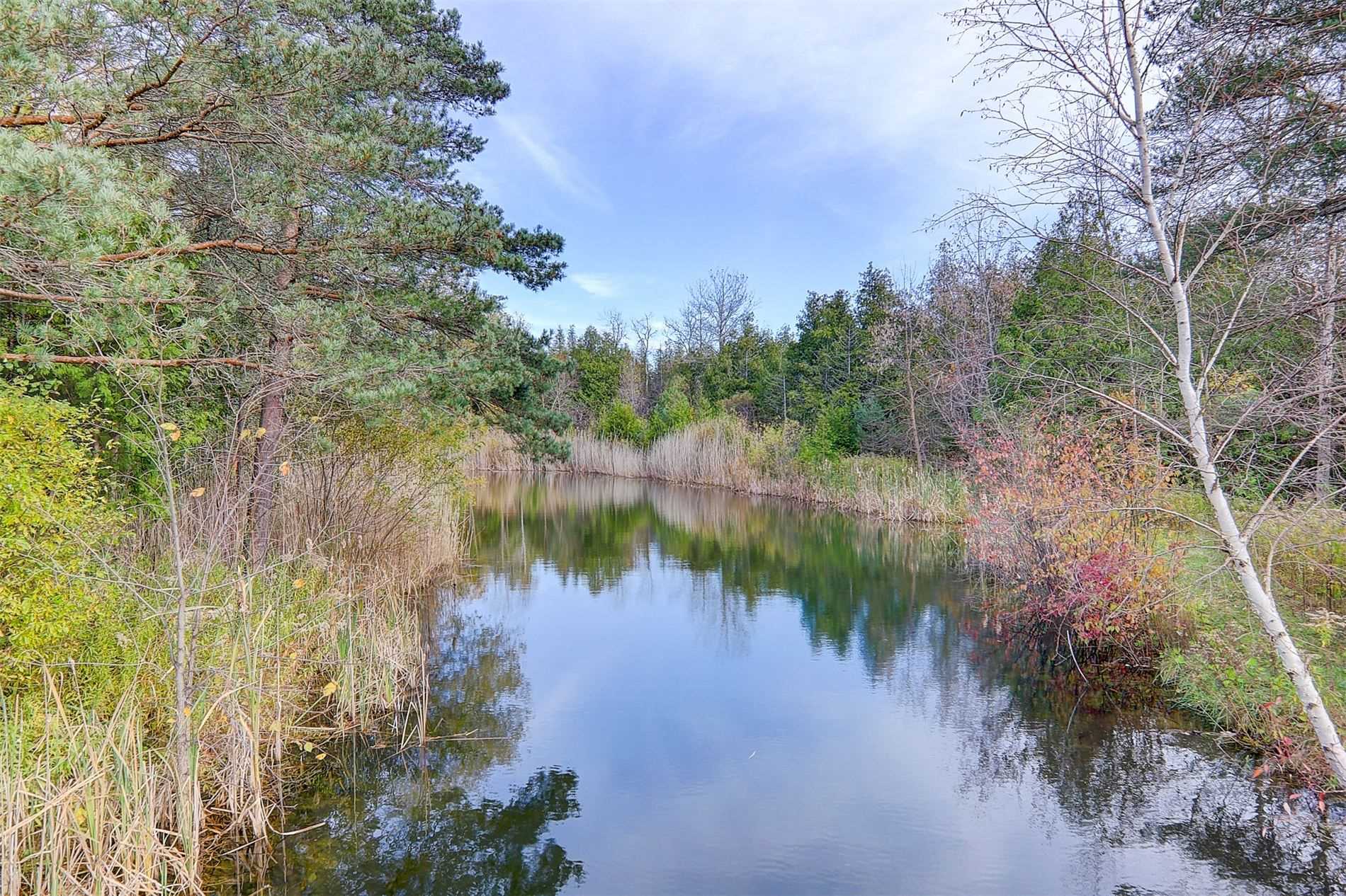Listing N5676751 - Large Photo # 34