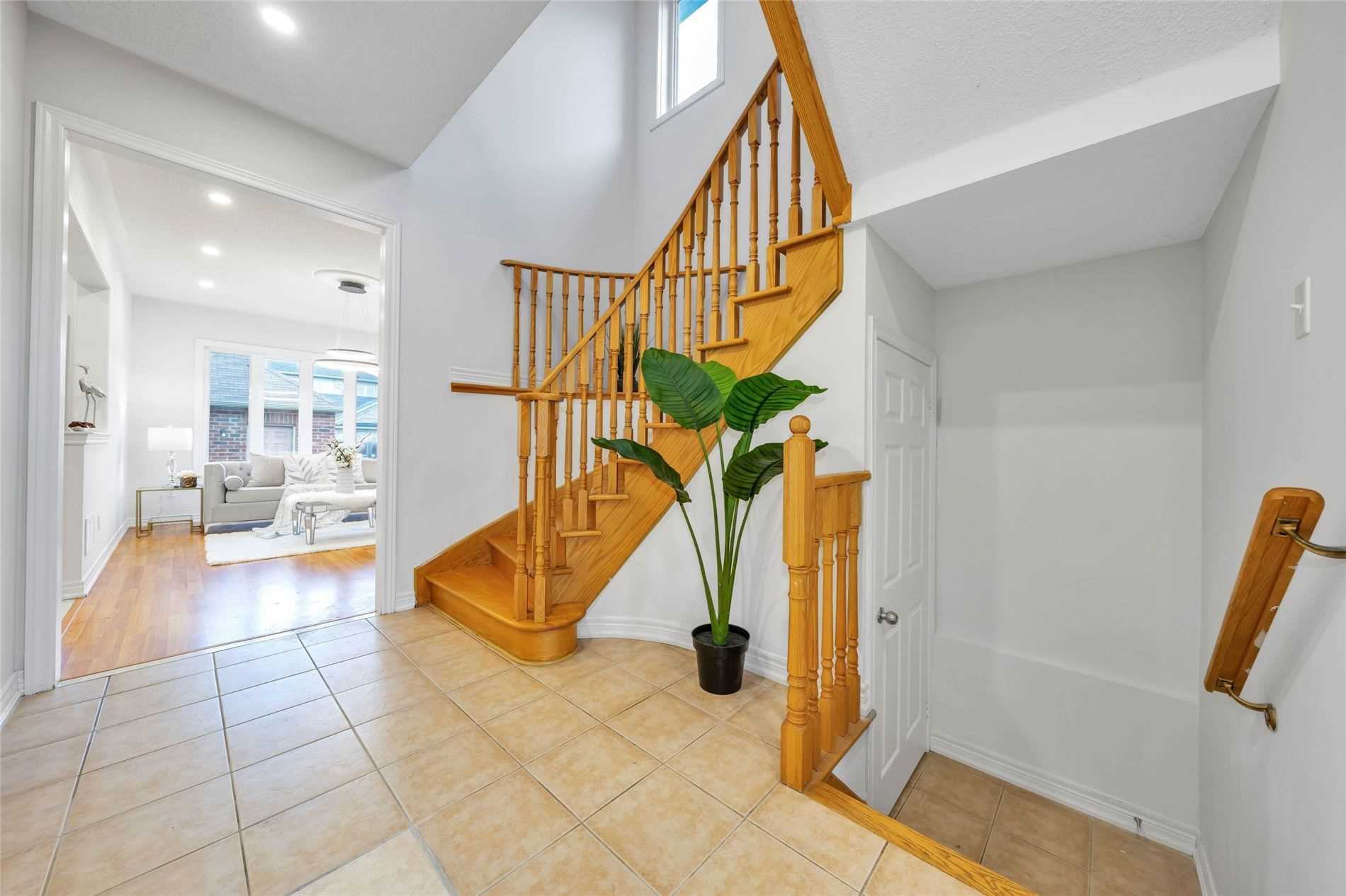 36 Richard Daley Dr