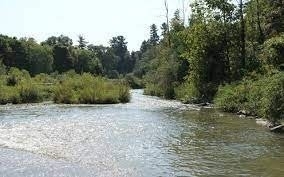 Listing N5699163 - Large Photo # 33