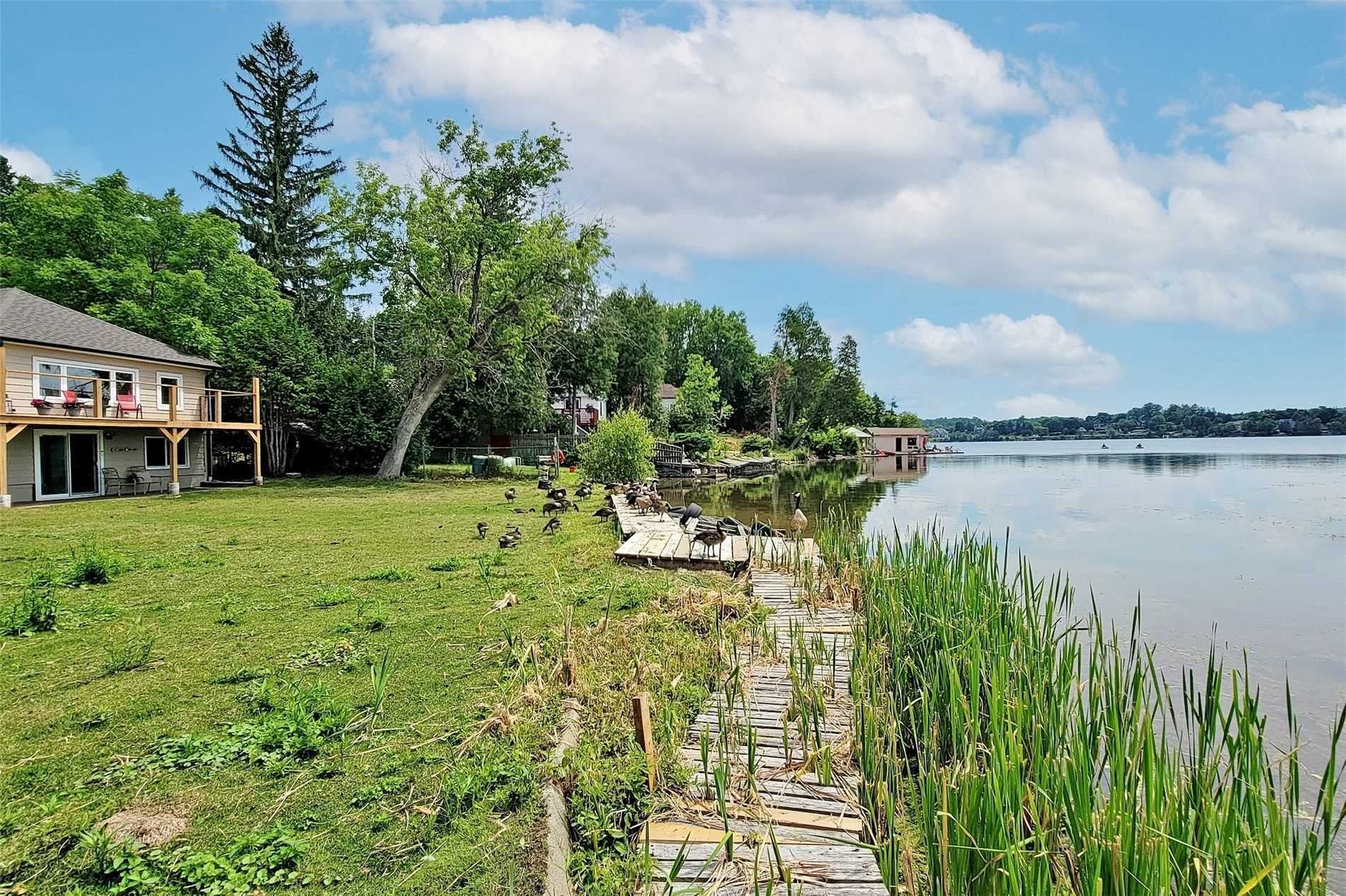 41 Connor Dr