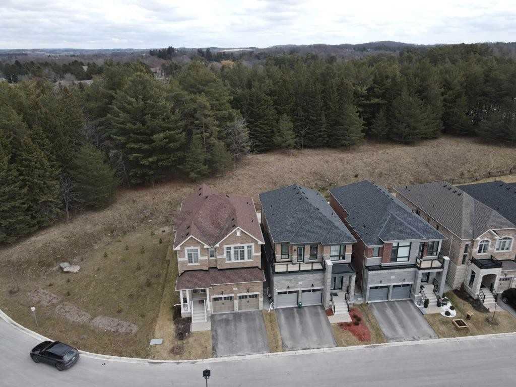 41 Cottonwood Hollow Crt