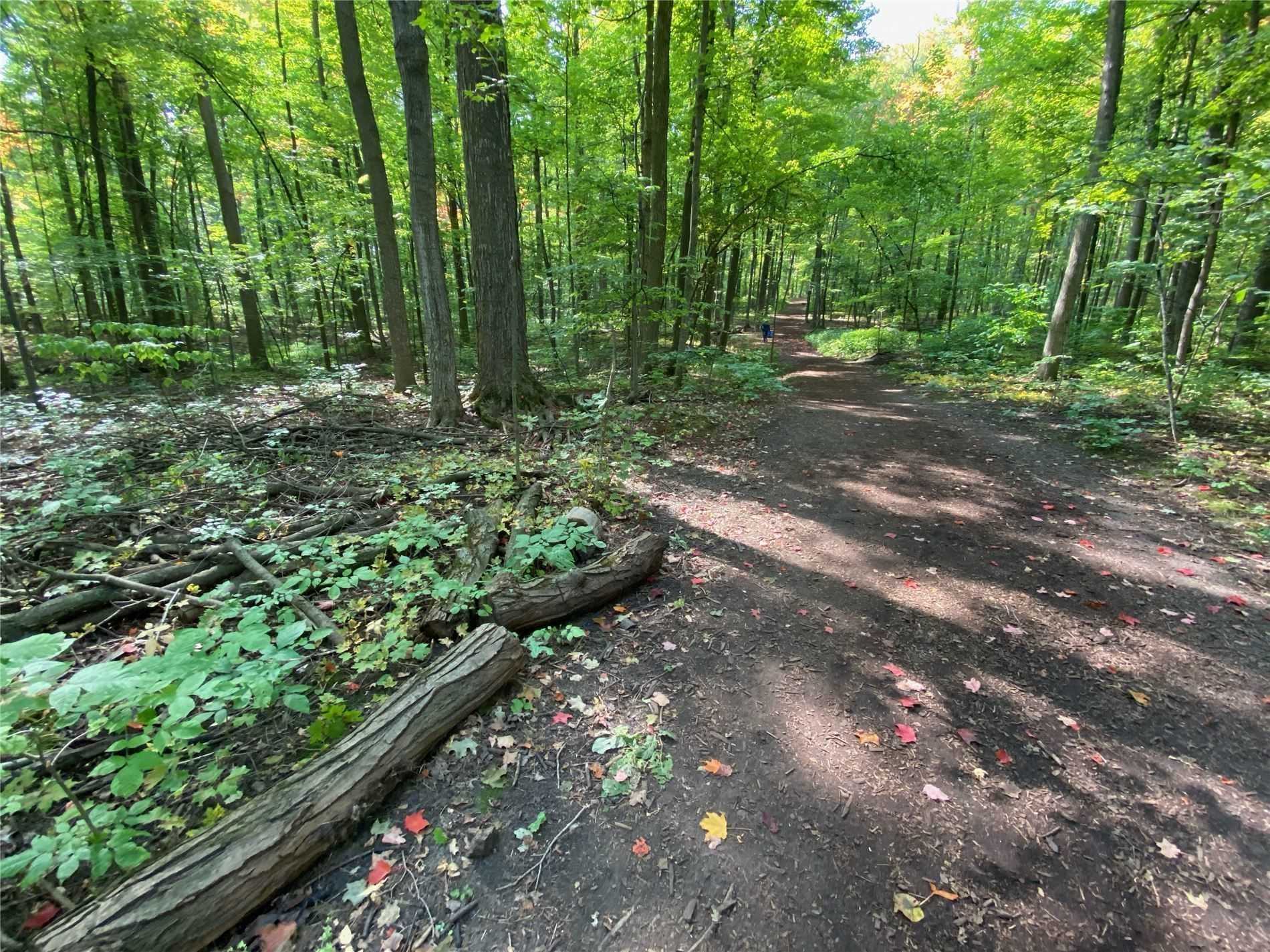 Listing N5714558 - Large Photo # 37