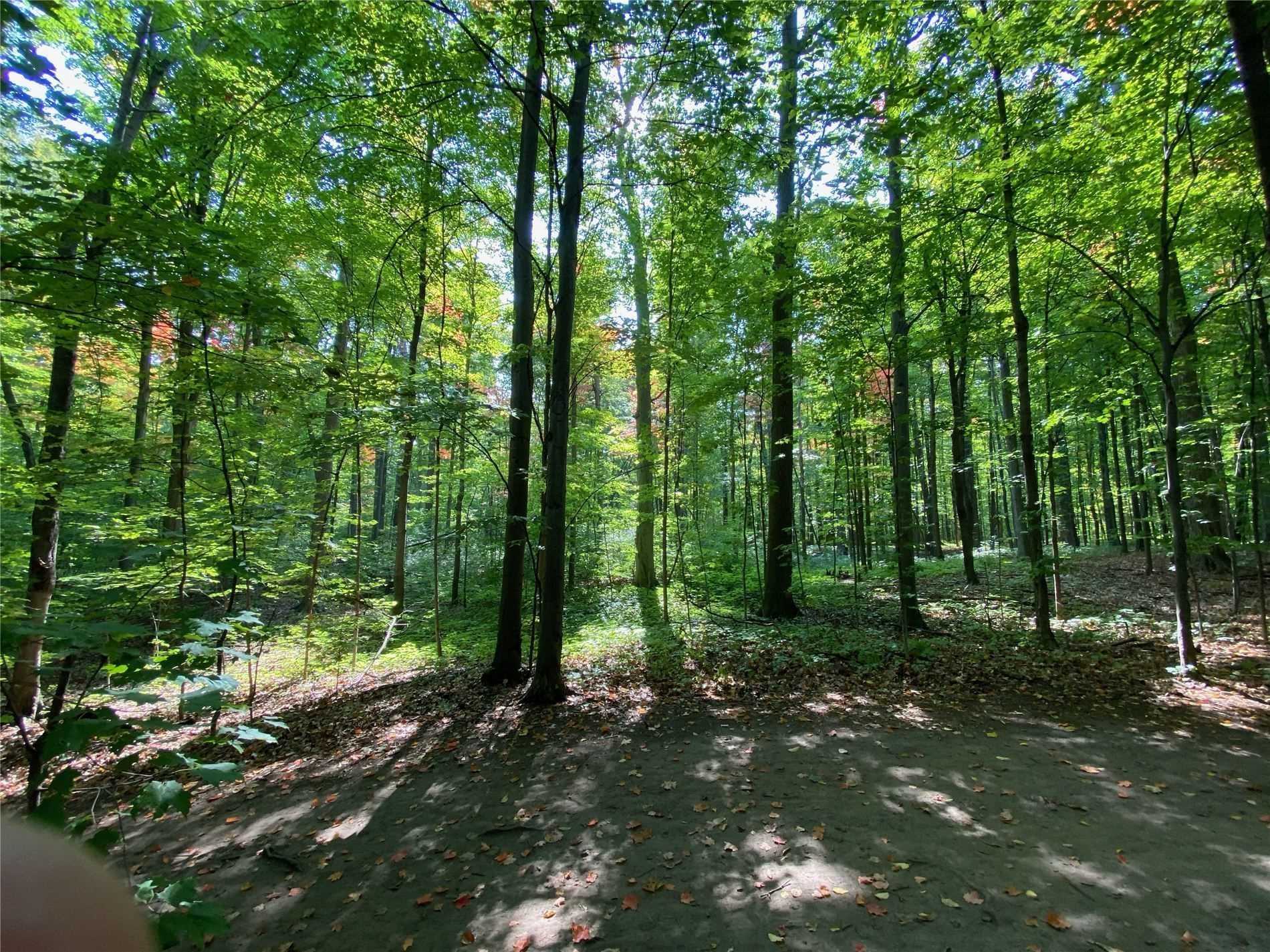 Listing N5714558 - Large Photo # 38