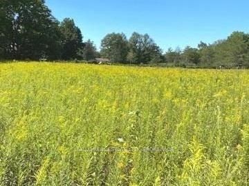 Listing N5748272 - Large Photo # 28