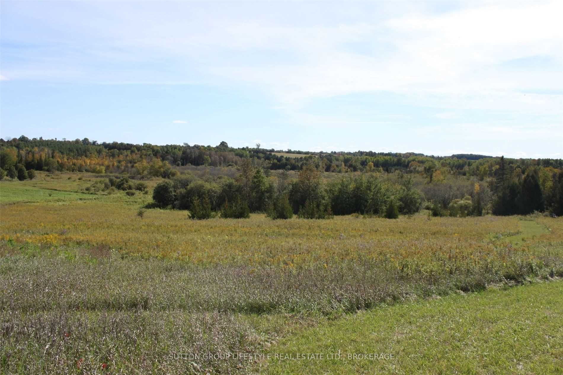 Listing N5753440 - Large Photo # 4
