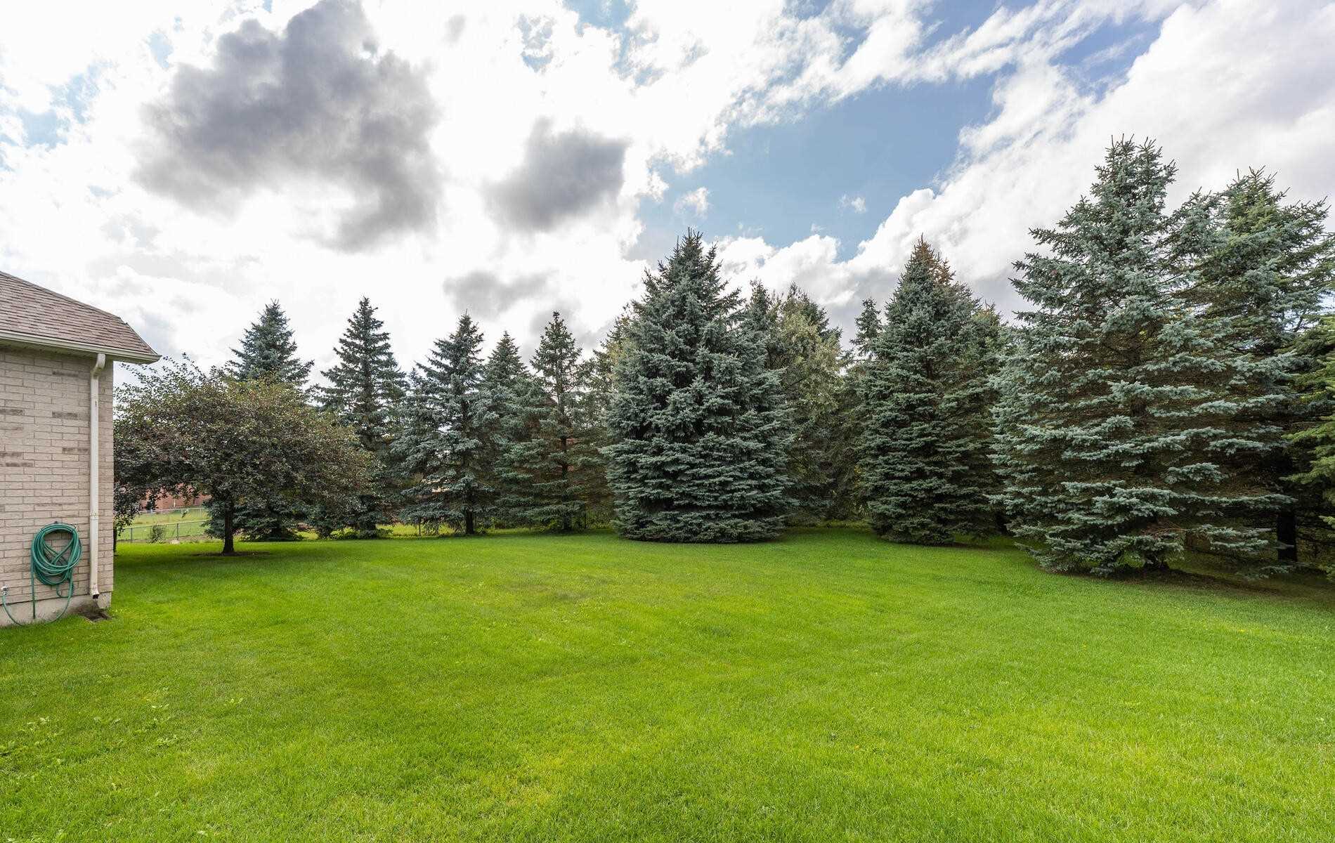 Listing N5772797 - Large Photo # 38