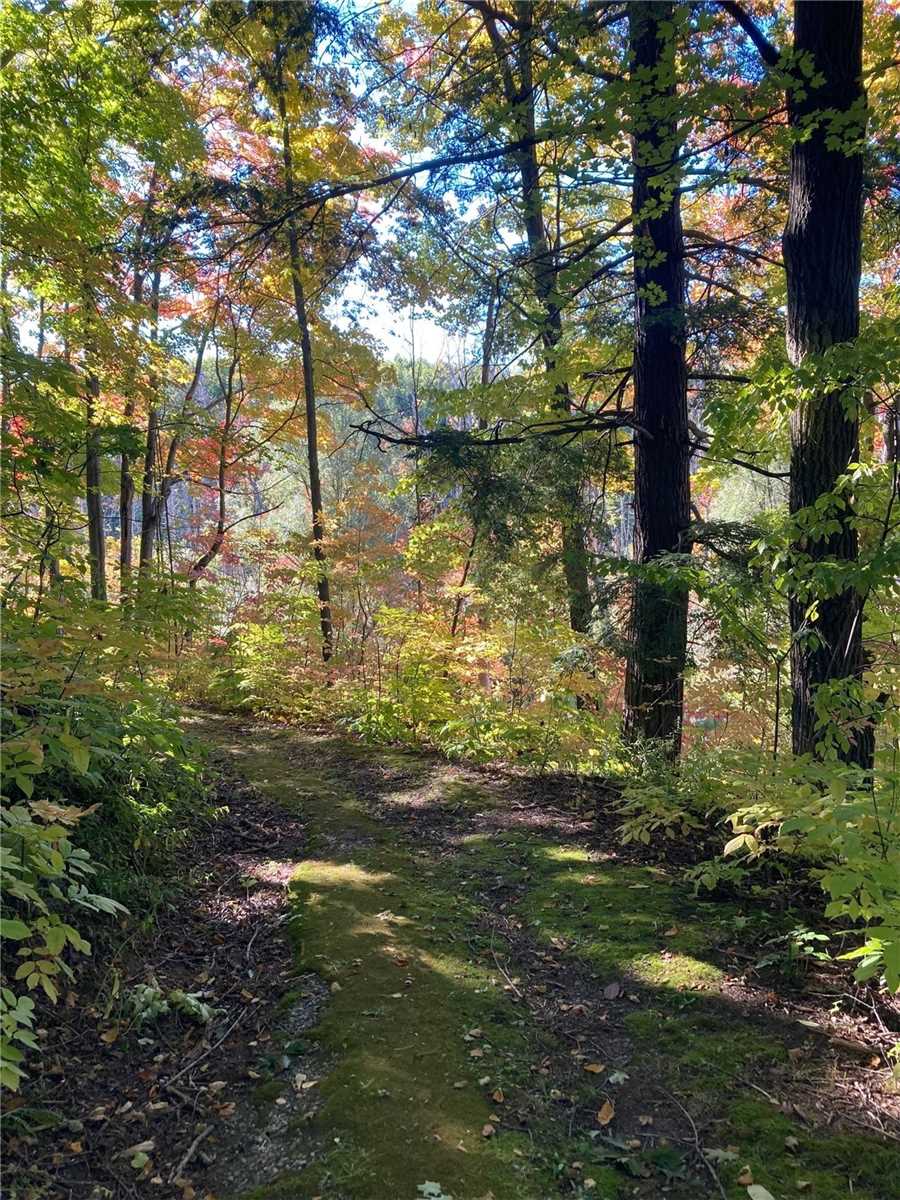 Listing N5785395 - Large Photo # 12