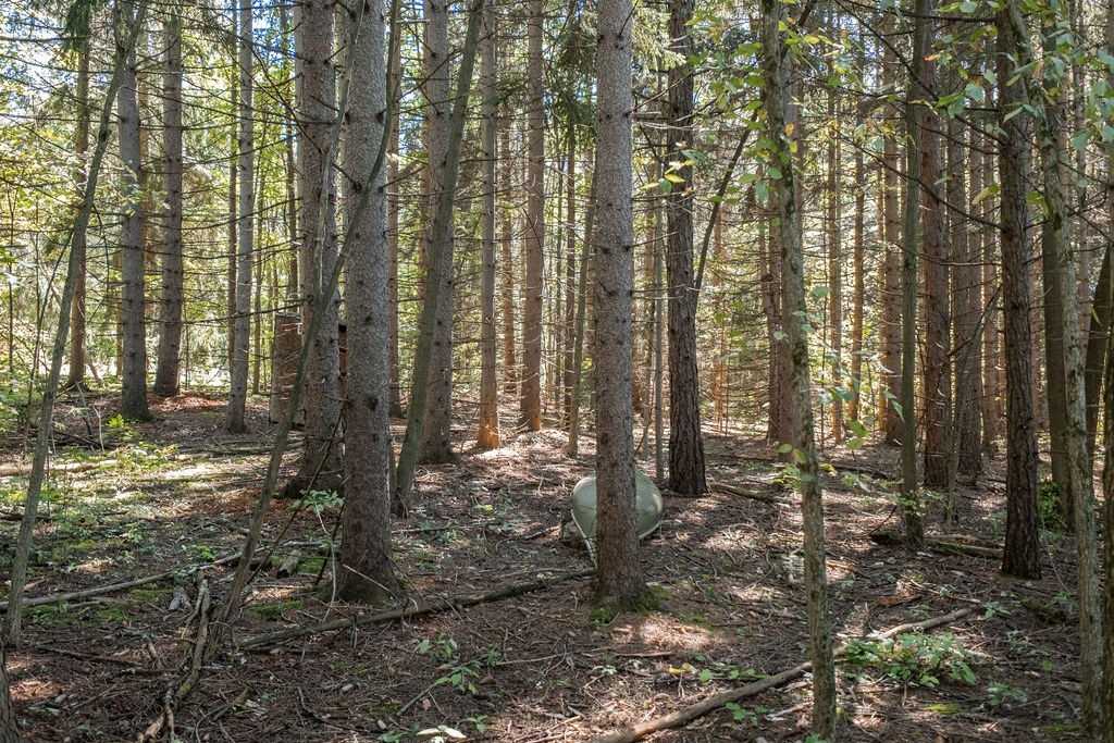 Listing N5785395 - Large Photo # 34