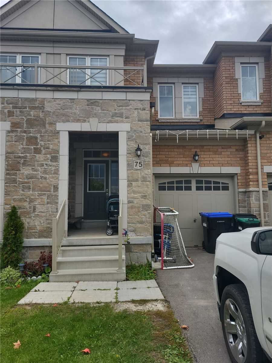 75 Algeo Way