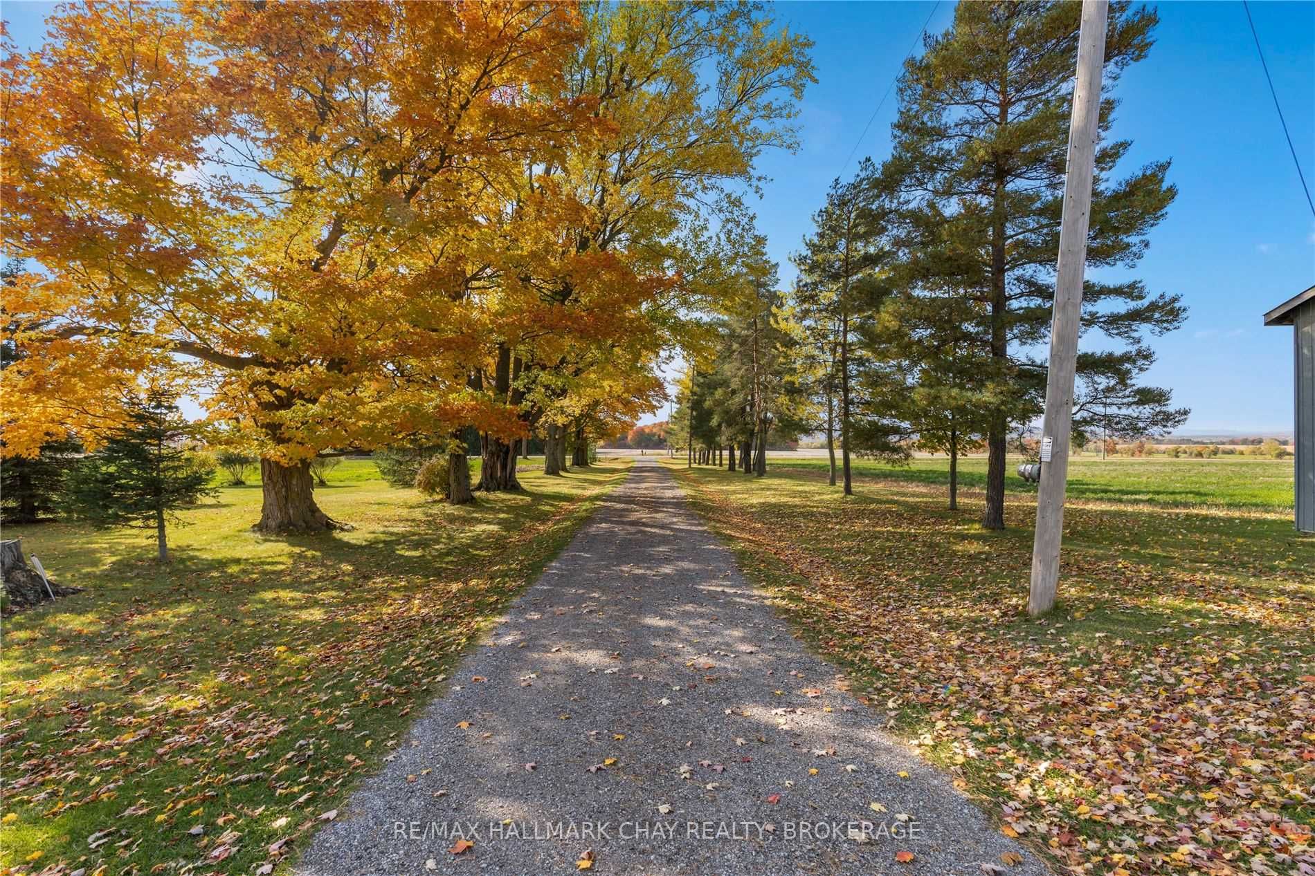 Listing N5798140 - Large Photo # 32
