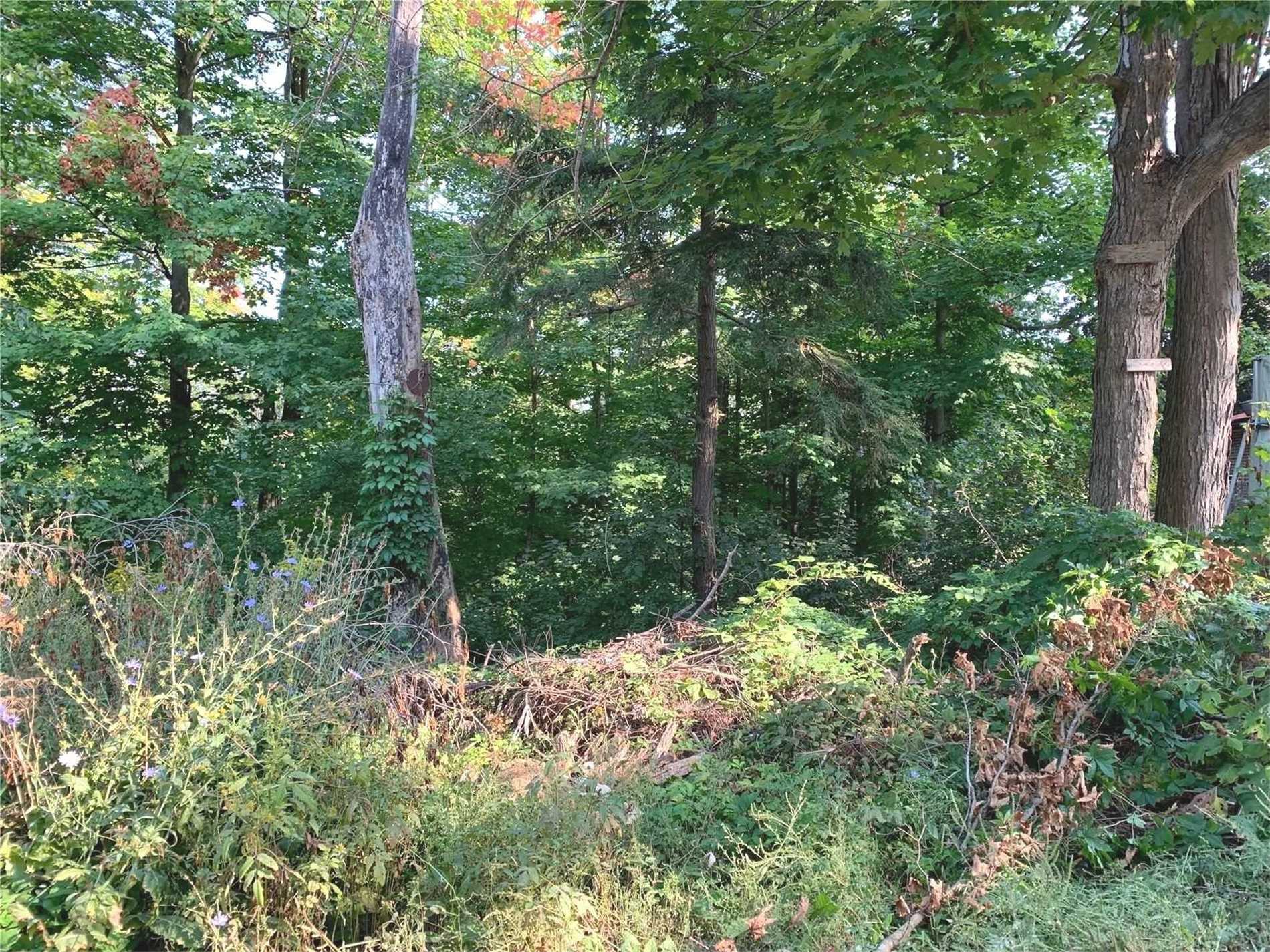 Listing N5799505 - Large Photo # 4