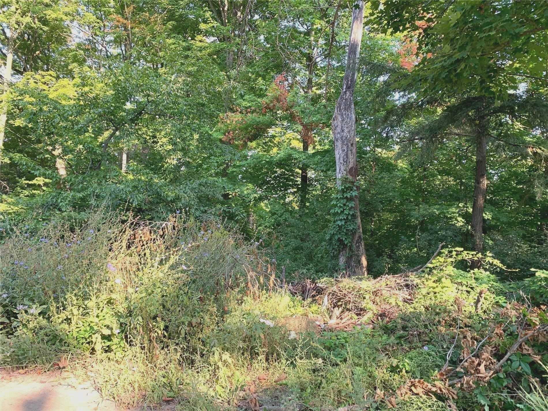 Listing N5799505 - Large Photo # 3