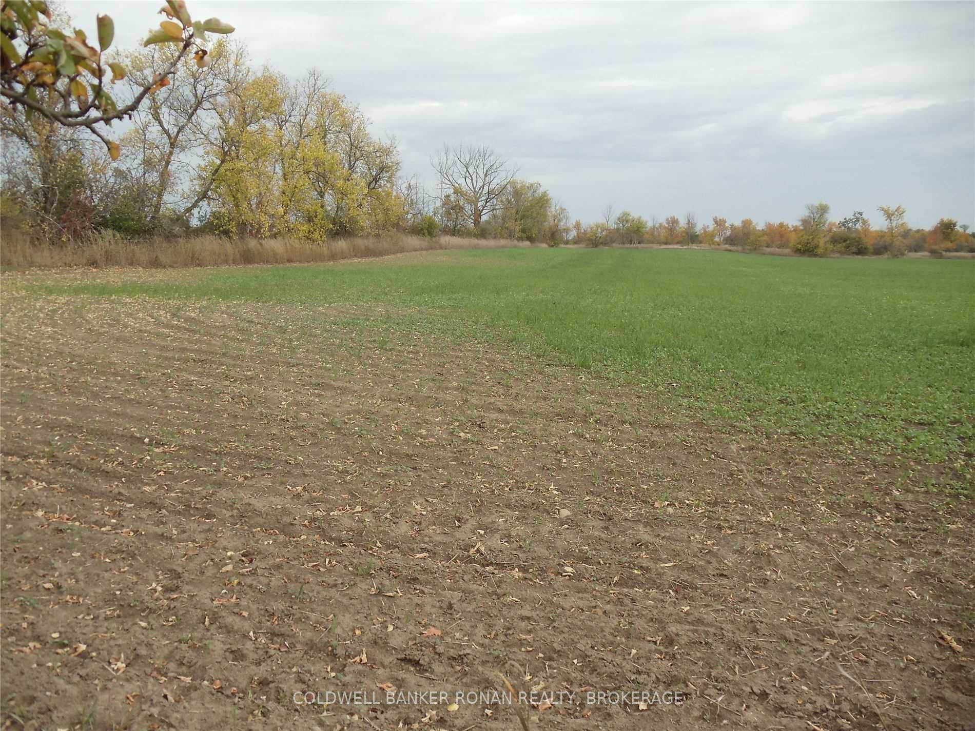 Listing N5801160 - Large Photo # 1