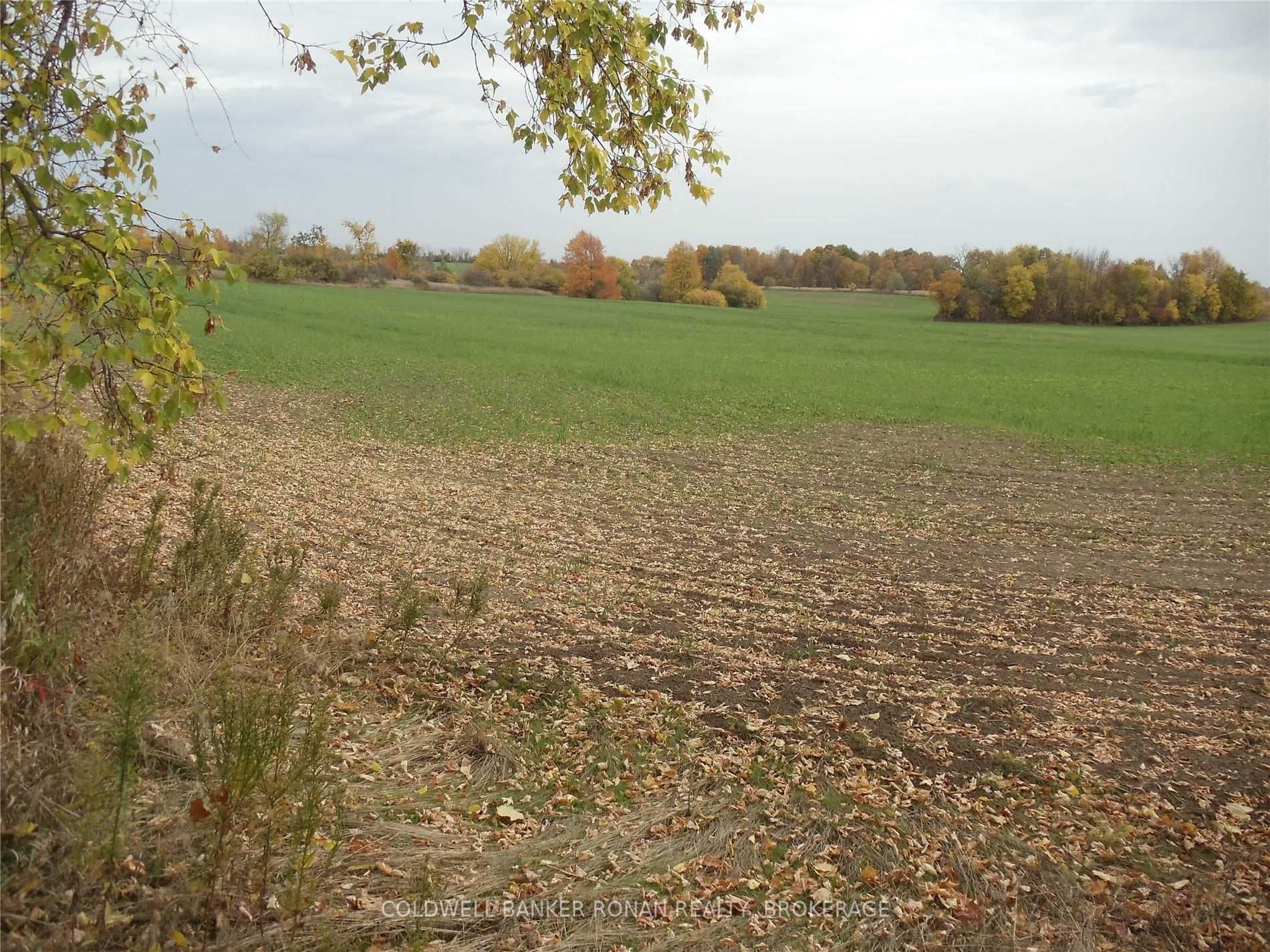 Listing N5801160 - Large Photo # 3