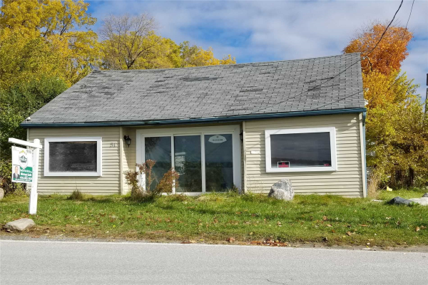 51 Lake Dr N, Georgina
