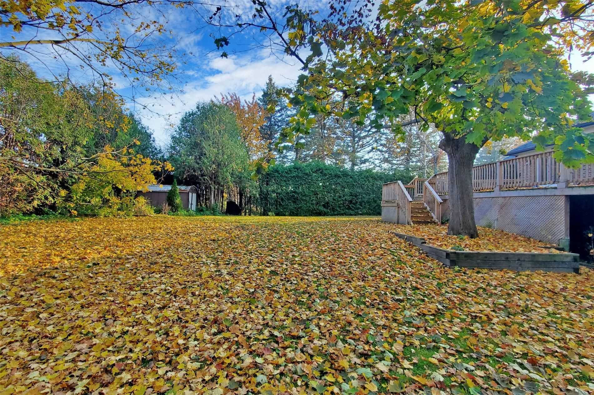 25 Oakcrest Avenue