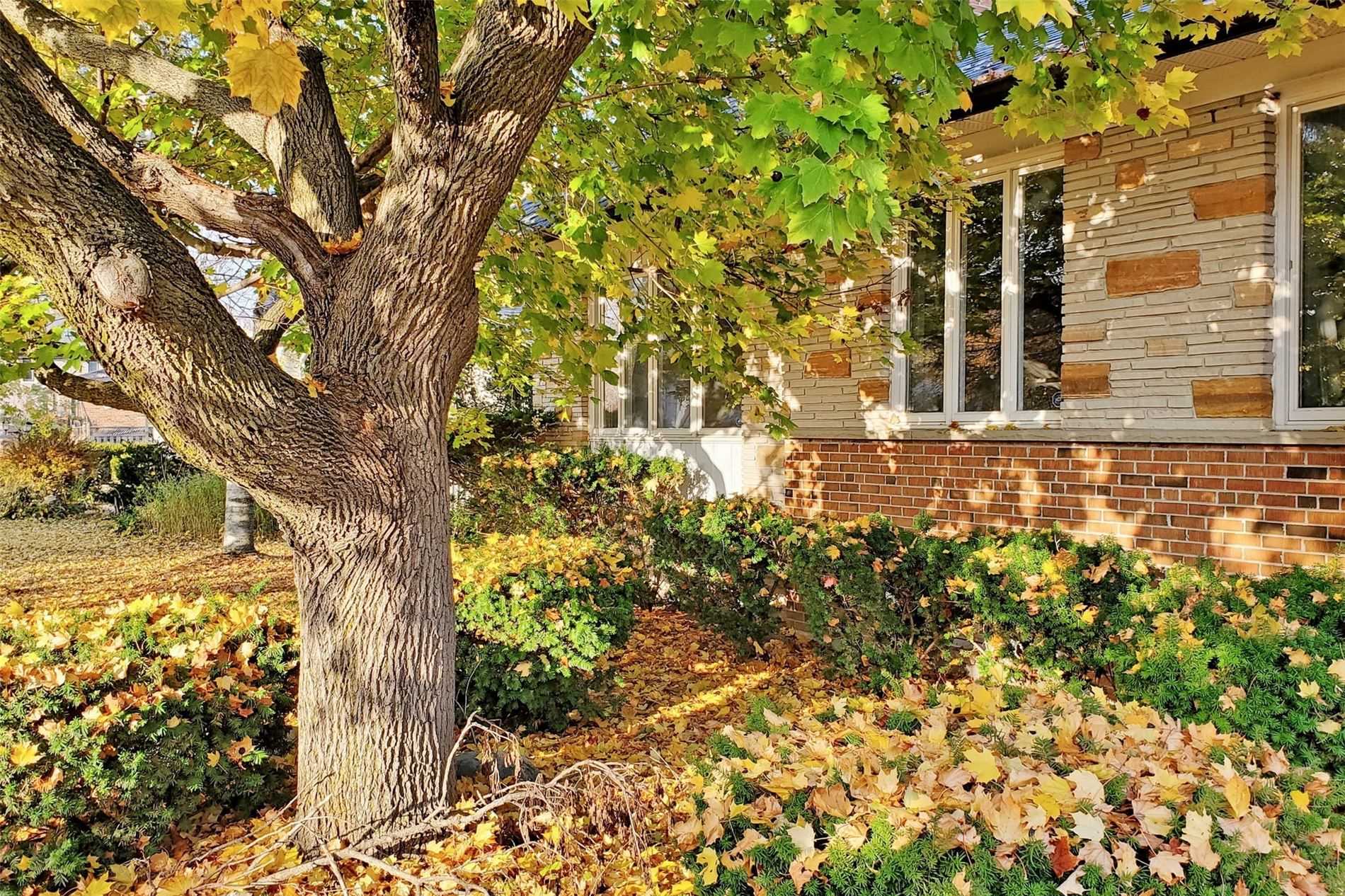 25 Oakcrest Avenue
