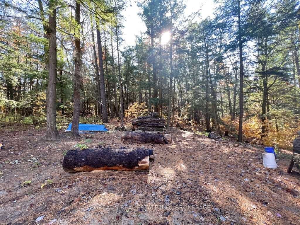 Listing N5818496 - Large Photo # 7