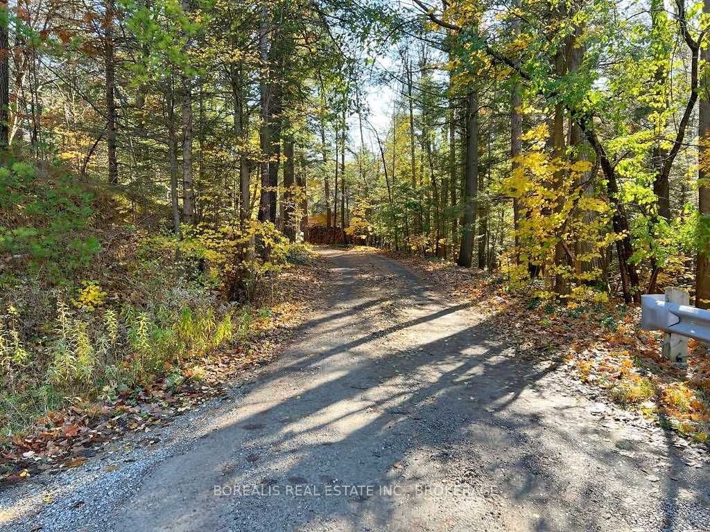 Listing N5818496 - Large Photo # 6