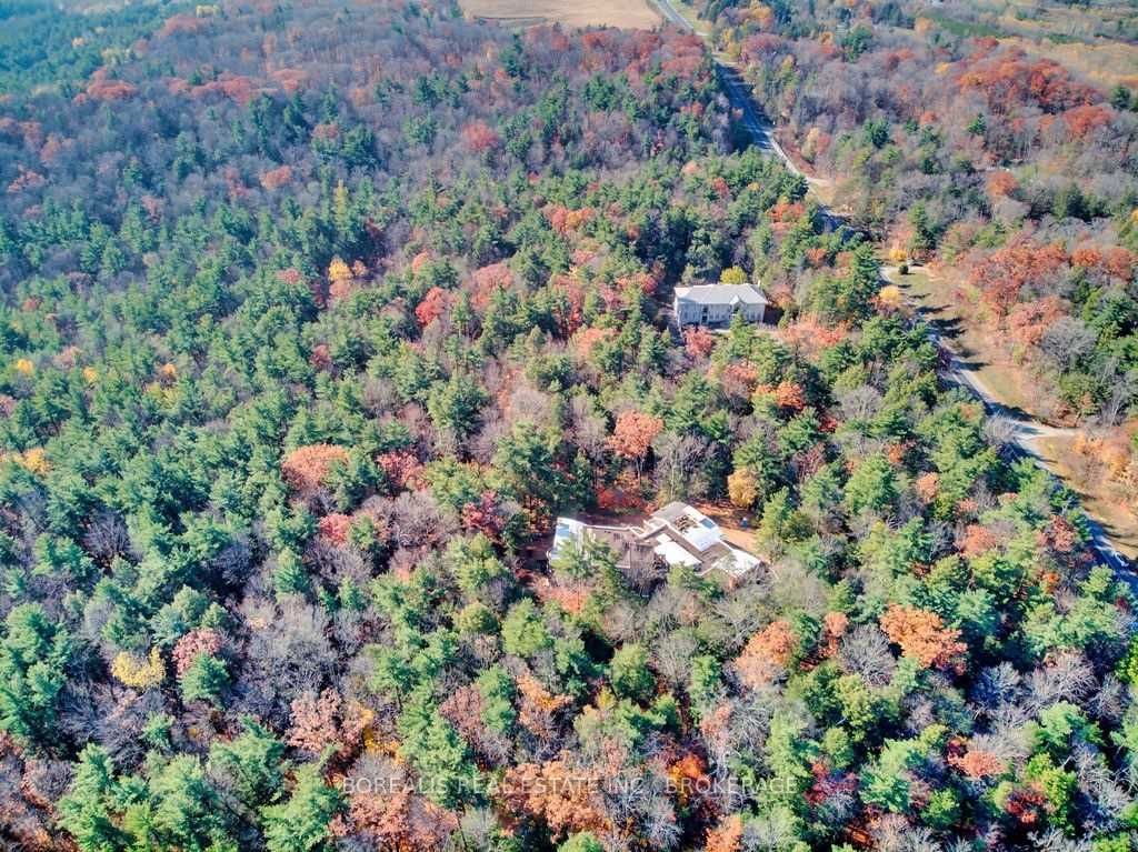 Listing N5818496 - Large Photo # 32