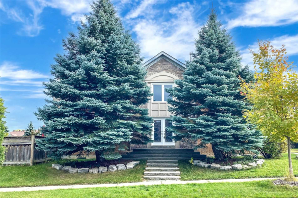107 Spadina Rd, Richmond Hill