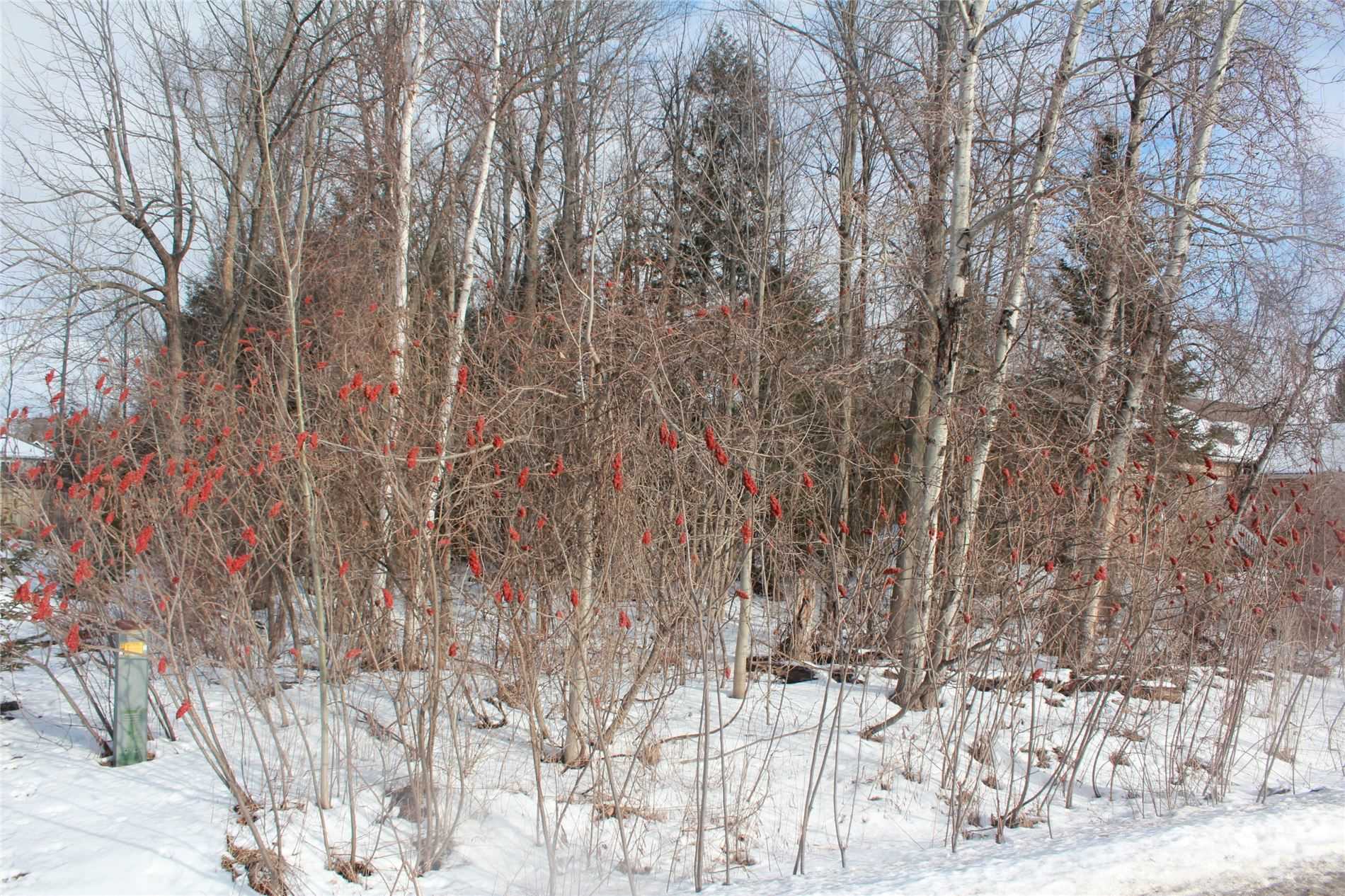Listing N5858765 - Large Photo # 1
