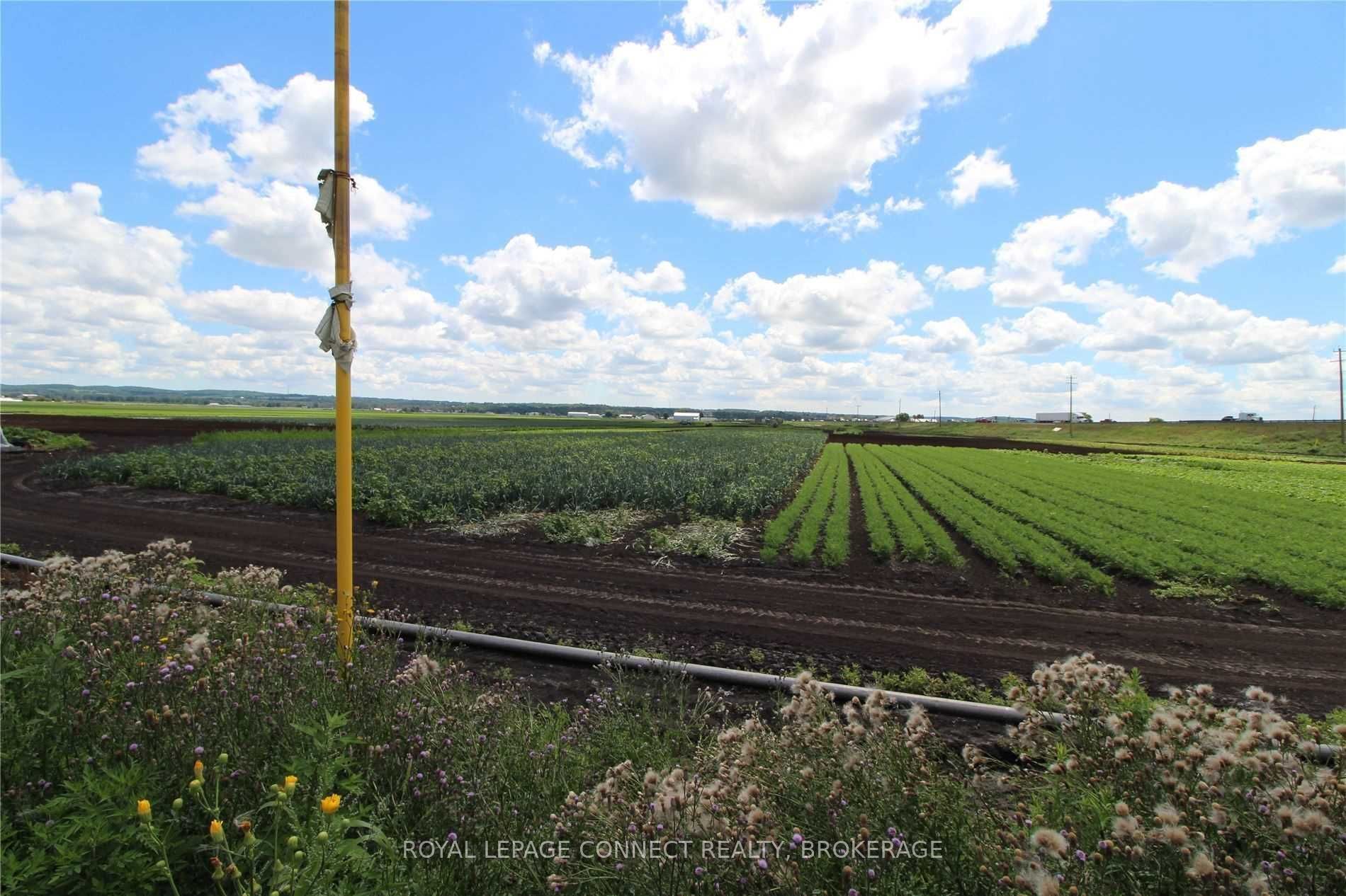 Listing N5859513 - Large Photo # 2