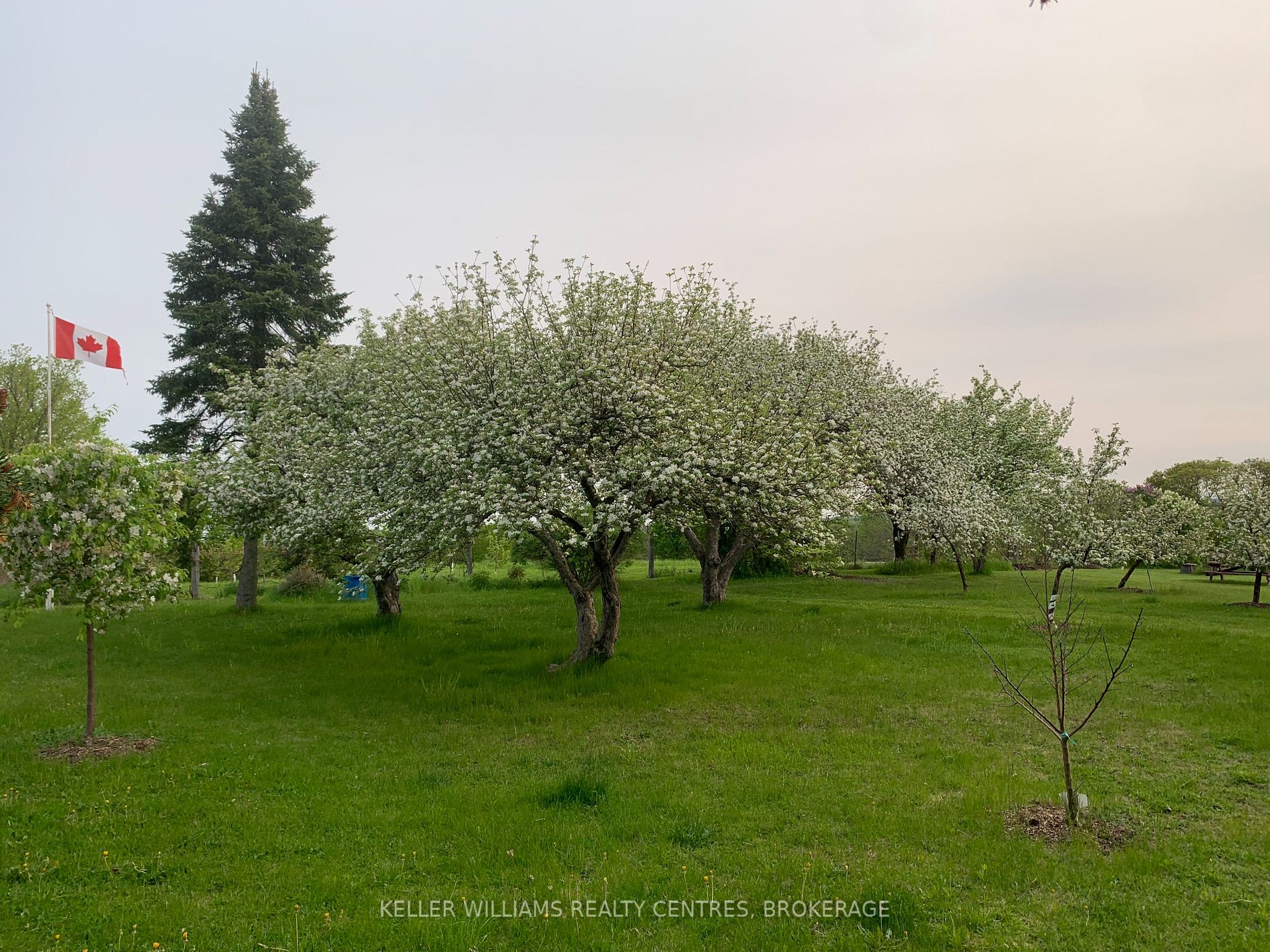 13239 Concession 5 Rd