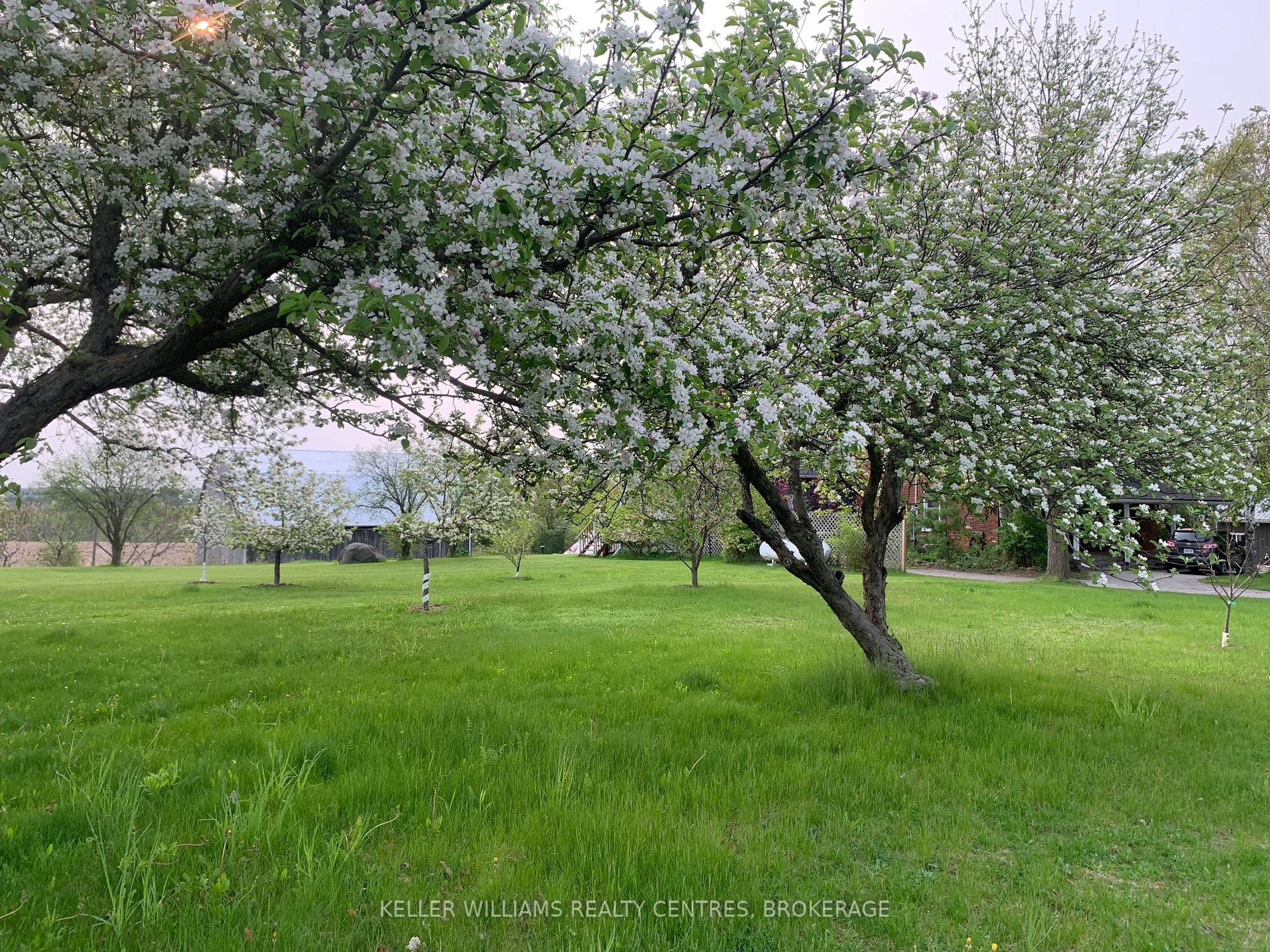 13239 Concession 5 Rd